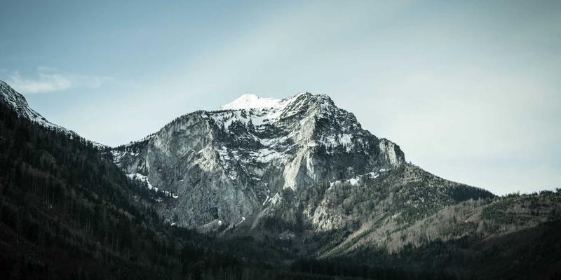 G柠檬与益生元:解锁下一代肠道定向健康零食的创新密码