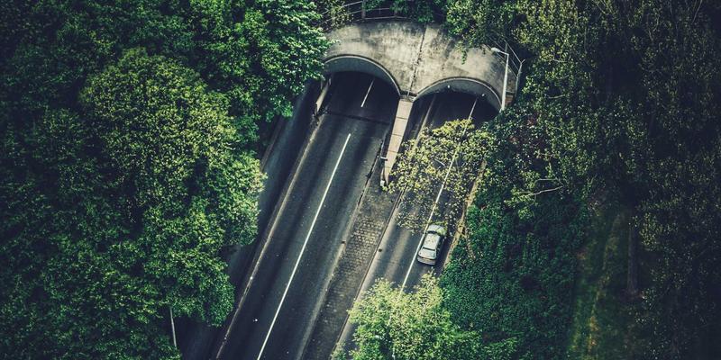 G柠檬果胶：从健康零食的隐形功臣到可食用包装的绿色革命