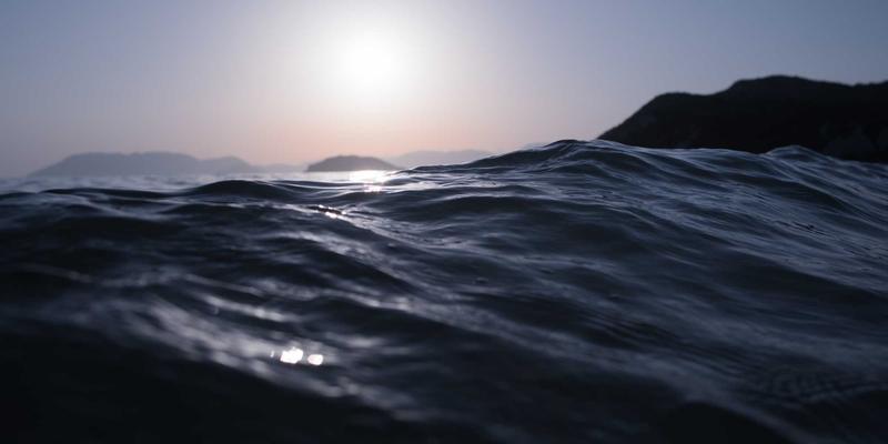 G柠檬遇上适应原草本：科学复配，打造缓解现代压力的天然健康饮品