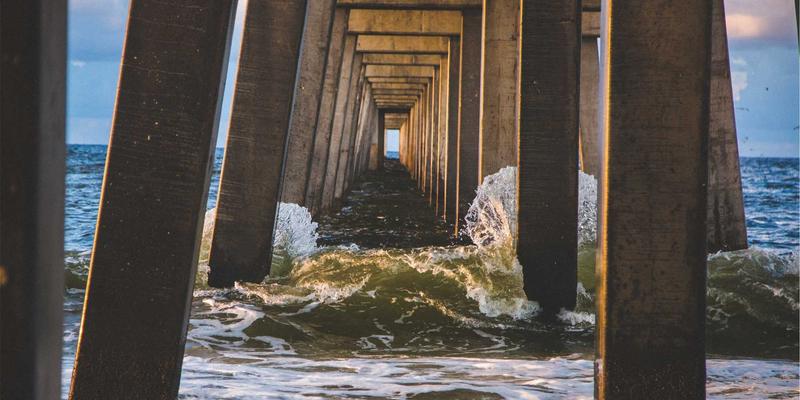 从健康零食到美妆革命：G柠檬籽油的跨界营养解析与创新应用