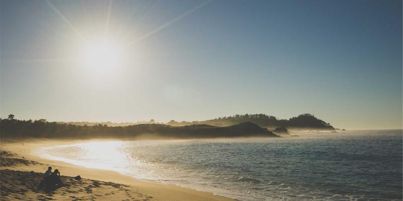 解锁G柠檬蒸馏酒的酿造奥秘：从果皮到果肉，打造低度健康利口酒的完整指南