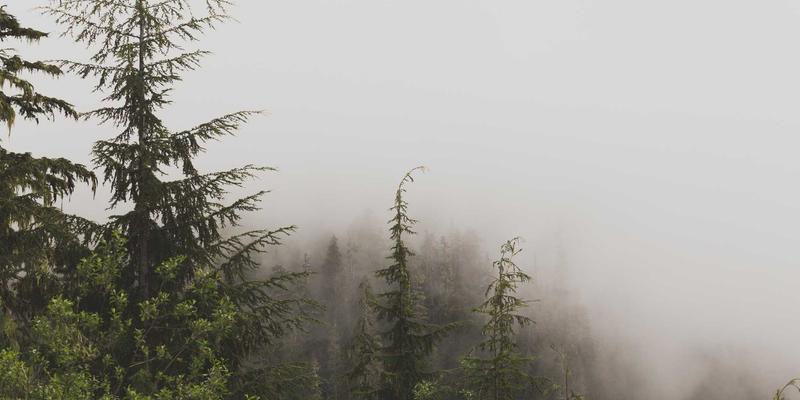 解锁G柠檬风味密码：从果园到舌尖，如何为健康零食与饮料找到黄金糖酸比？