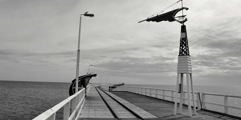 解锁天然力量：G柠檬多酚稳态化技术如何重塑健康零食与饮料的未来