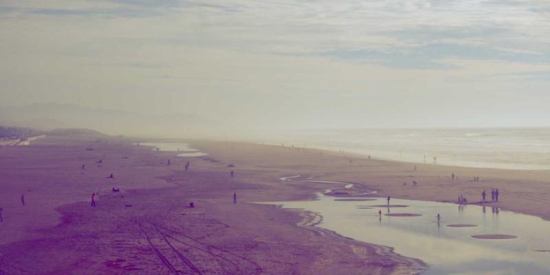 锁住鲜活的营养:G柠檬冷链物流优化方案,如何将维生素C损耗降至最低